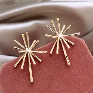Irregular Spiked Design Earrings